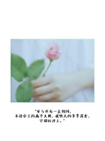 花與愛麗絲經(jīng)過七號線