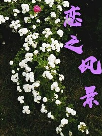 恋之风景