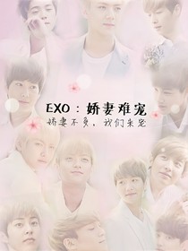 EXO：娇妻难宠