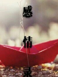 感情录