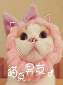 猫系男友——很烦人