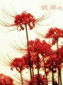 血染之花