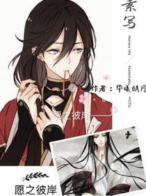 愿之彼岸
