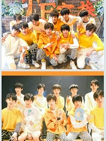 TF家族，爱恋