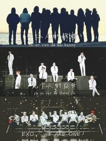 EXO：掰弯你没道理