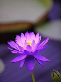快穿：我想要的