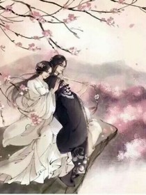 王妃嫁到:王爺別囂張