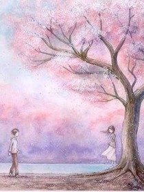 那年樱花在等你