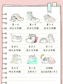 快穿:女配来临，反派boss请接招