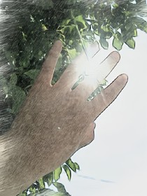 景福殿賦玄魚