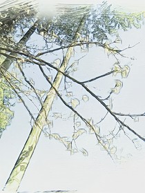 白蓮堂歸來(lái)