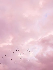 浮生若夢