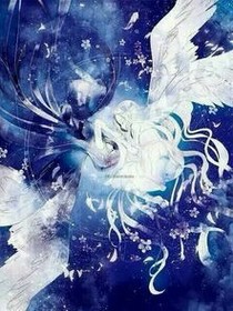 星月光辉