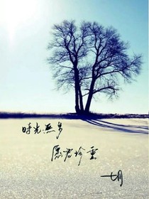 王俊凯喜欢上我
