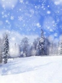 梦雪无边