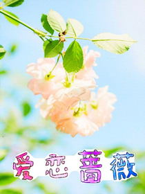 爱恋蔷薇