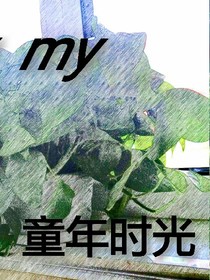 my童年时光