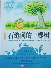 石缝间的一棵树