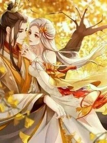 王爷的老婆爱盗墓
