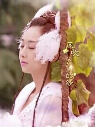愛情之說與復(fù)仇記