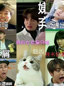 BTS之我的女友是只猫