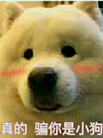 一路追过的女孩