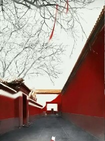 灵九与墨诚