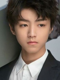 王俊凱的霸道小仙女