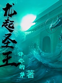 龙起圣王