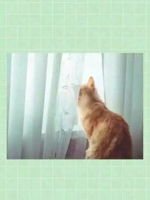 一年又一年