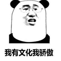 一本有文化的書_d231_d960