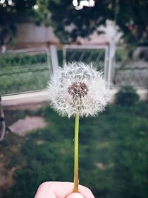 那些年~的我们