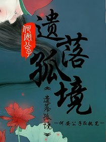 遗落孤境