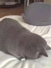 怦然心动一你们为什么不相信我