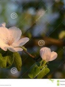 給我愛情