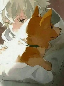 染柒