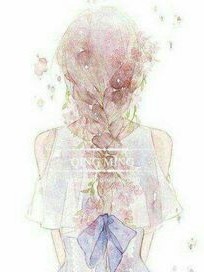 浮生若梦.蝶影