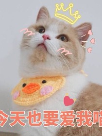 全世界都要你來愛我