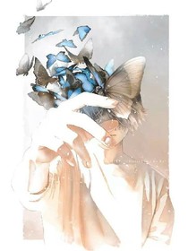 蝶舞，谁恋