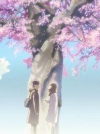 樱花味的夏天