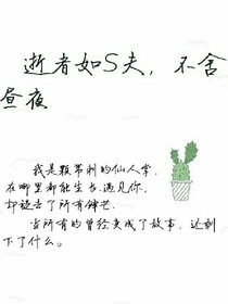 逝者如S夫，不舍昼夜.