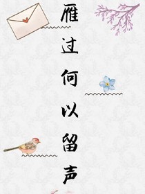 雁过何以留声