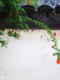 迷人美图