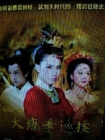 大唐女巡案
