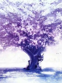 三月樱花盛开季