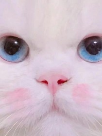 那时的我们之美好青春