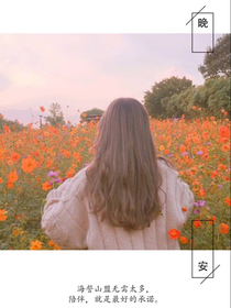 木槿花开似锦年