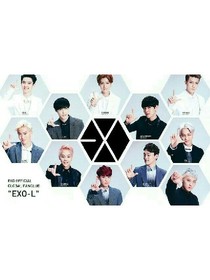 EXO之替代千金