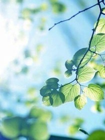 勵志小故事