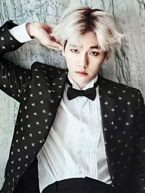 EXO：斑馬